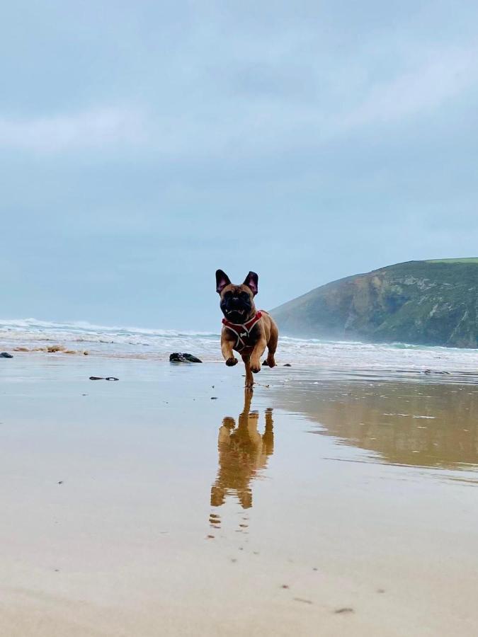 Daphne'S Lodge Mawgan Porth Luaran gambar